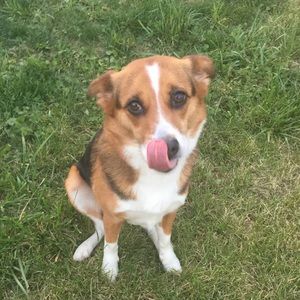 Meet your Posher, Kyle